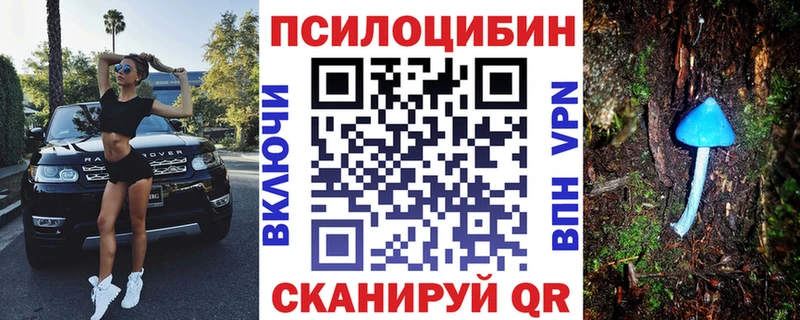 Псилоцибиновые грибы Psilocybe  ОМГ ОМГ маркетплейс  Сясьстрой 