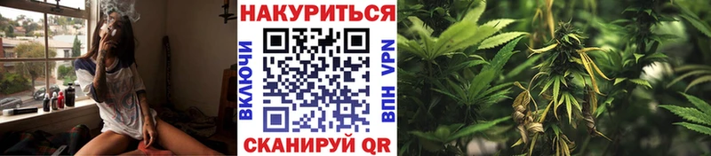 цена ОМГ ОМГ зеркало Конопля Amnesia Сясьстрой